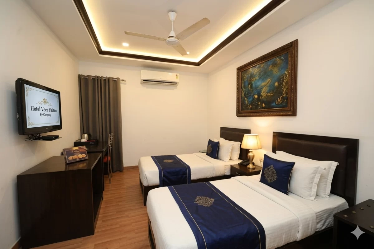 Room in Hotel Veer Palace By Greysky